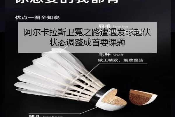 a-er-ka-la-si-wei-mian-zhi-lu-zao-yu-fa-qiu-qi-fu-zhuang-tai-tiao-zheng-cheng-shou-yao-ke-ti-2-665.jpg