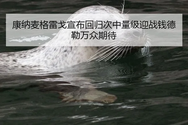 康纳麦格雷戈宣布回归次中量级迎战钱德勒万众期待